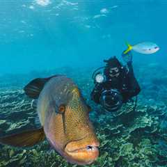 28 Fish Facts You Won’t Believe