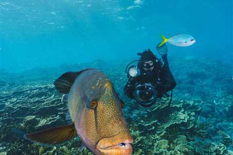 28 Fish Facts You Won’t Believe