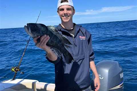Black Seabass Season in the Northeastern US: The Complete Guide for 2026