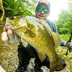 An Expert Guide to Targeting Big Smallmouth Bass in Small Creeks