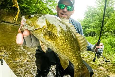 An Expert Guide to Targeting Big Smallmouth Bass in Small Creeks